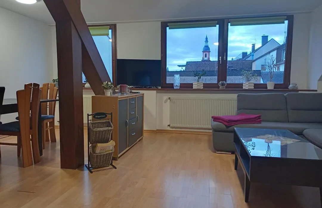 Zentrale Ferienwohnung Mit Blick Auf Die Paulinskirche-1