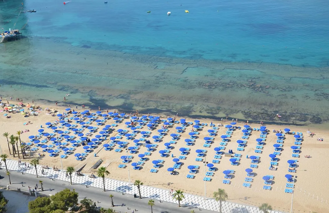 Apartamentos Oasis Benidorm-1