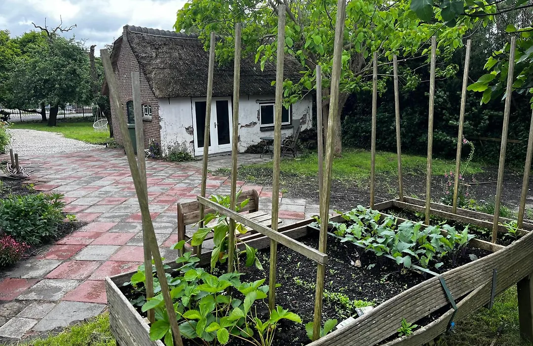 Het Hooge Huis-1