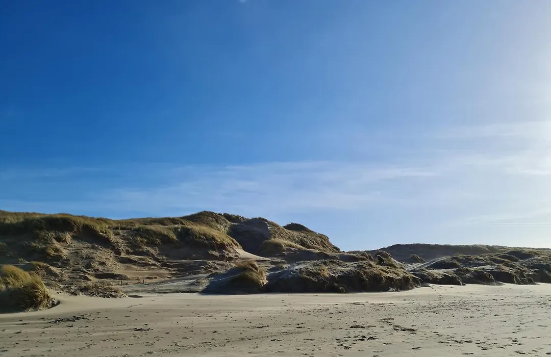 Bloemendaal Suites-1