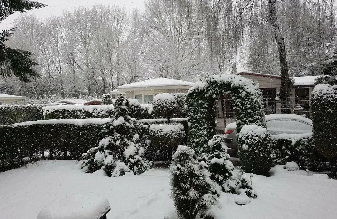 Vakantiewoning (Chalet 52)-1