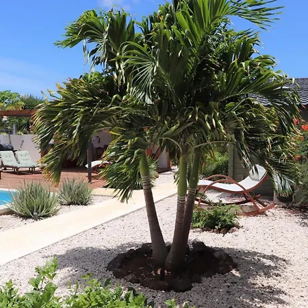 Woodz Bonaire-2