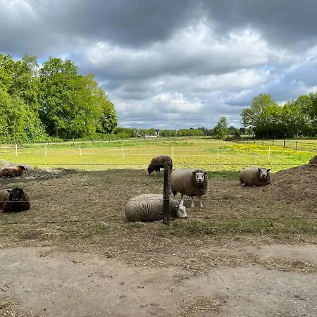Familiehuis voor 13 personen-2