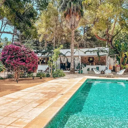 Ipunga Ibiza - Adults Only-2