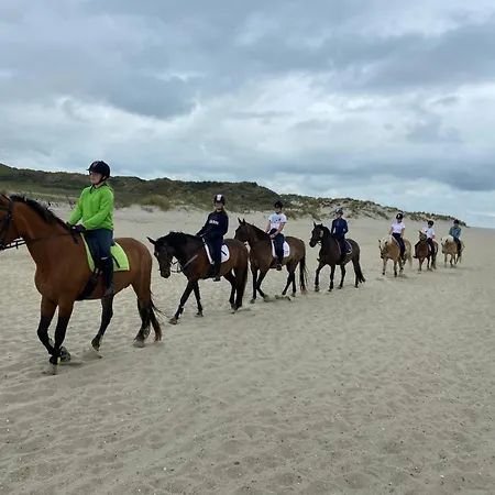 Minicamping Hoeve het Tij-3