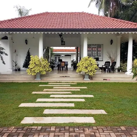 Green Grass Garden-2