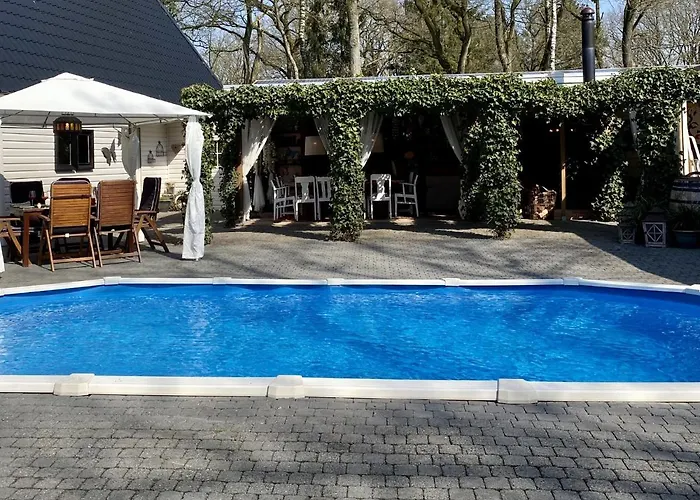 Villa In Drents-Friese Forest With Pool