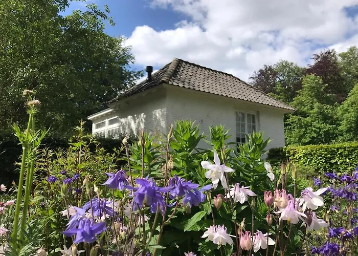 Het Witte Kasteel