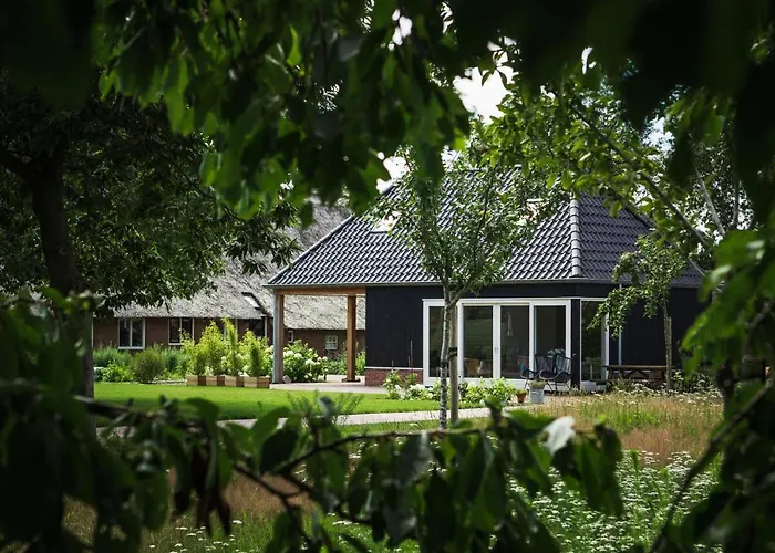 Ermerhoek, in de Hof