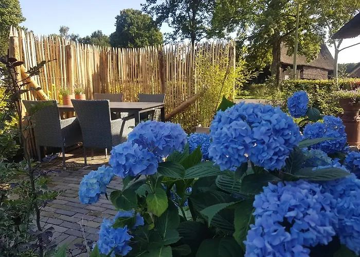 Ermerhoek: op de Deel