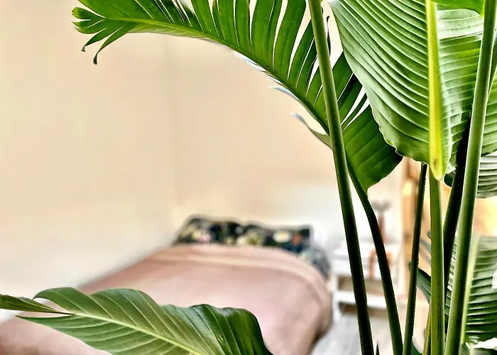 Atelier Raamwerk City Apartments Deventer 125m2!