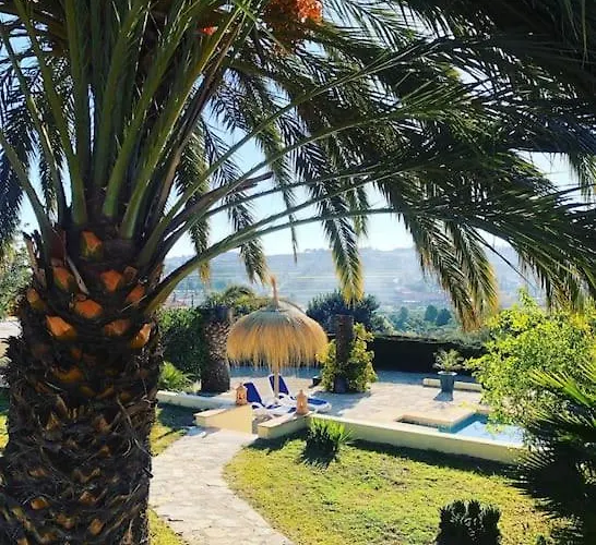 Rustico Appartment 'Olta' In Finca, See-And Garden Side