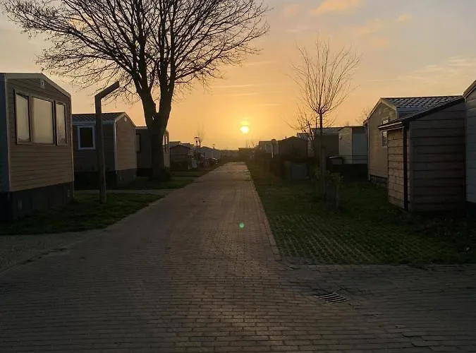  JD 56 In De Bongerd