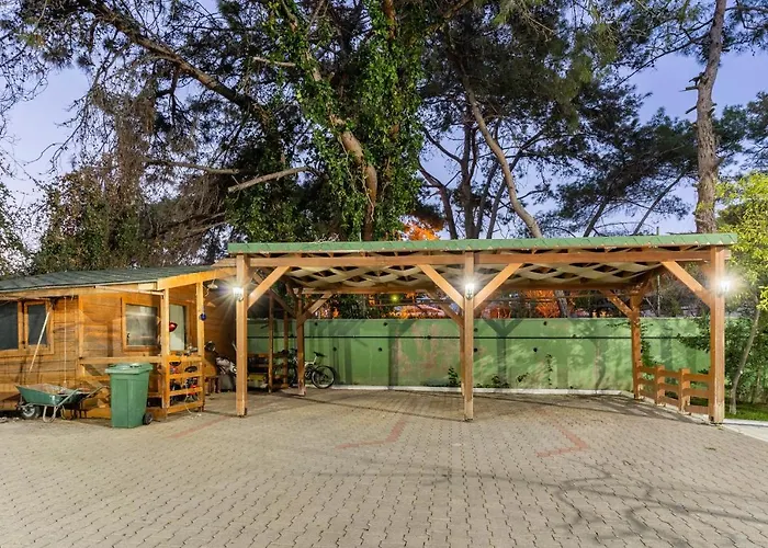 Very Special 6 Bdr Great For Family Reunions
