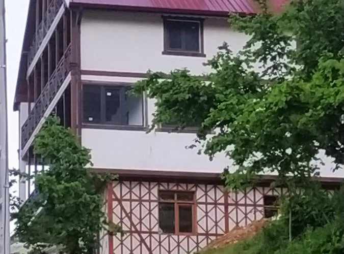 Near To Uzungoel-Nanaga1883-Entire 1 Bedroom Flat With Balcony-Lake-Mountain View