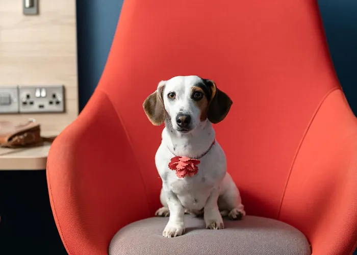 Holiday Inn Express & Suites - Deventer By Ihg