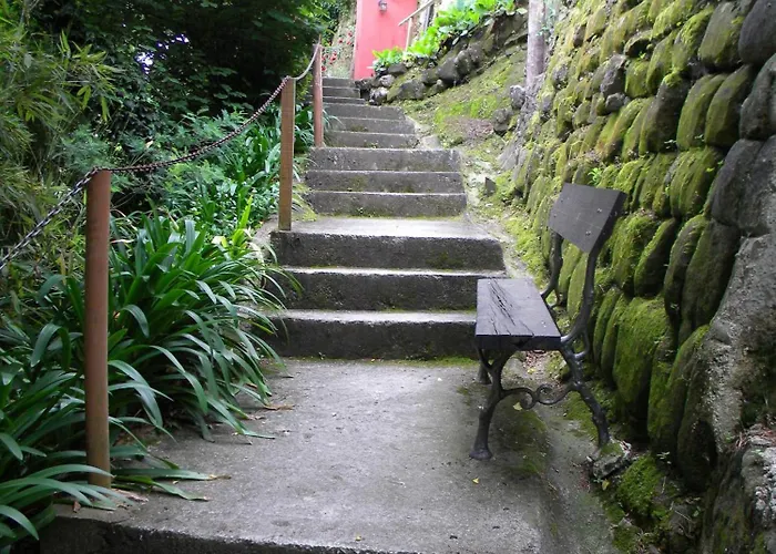 L'Annexe