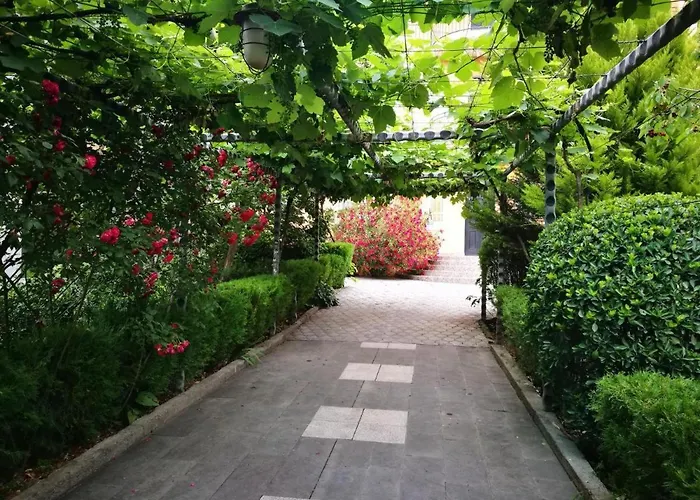 Varketili Garden
