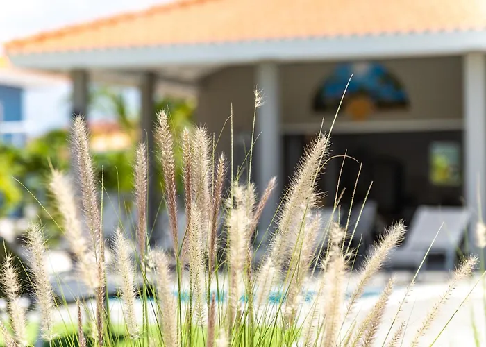 Villa Nisa - Homeofease - Villapark Fontein