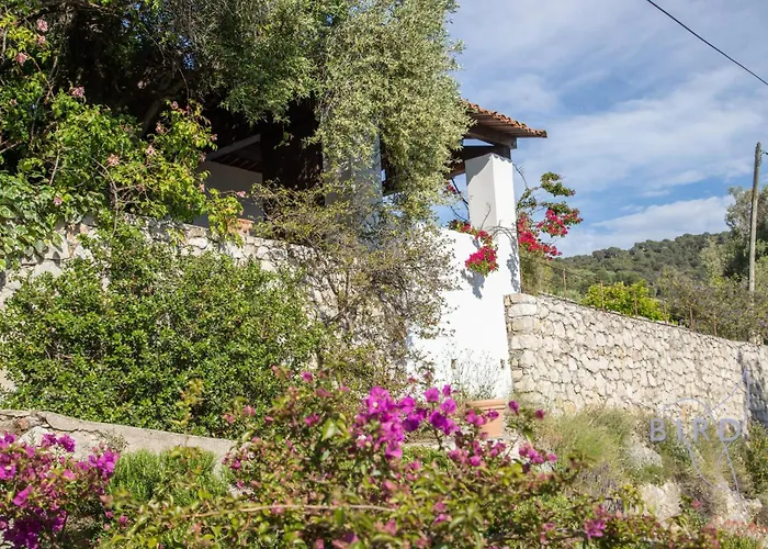 Villa Bonnard In Nice Sea And City View & Pool