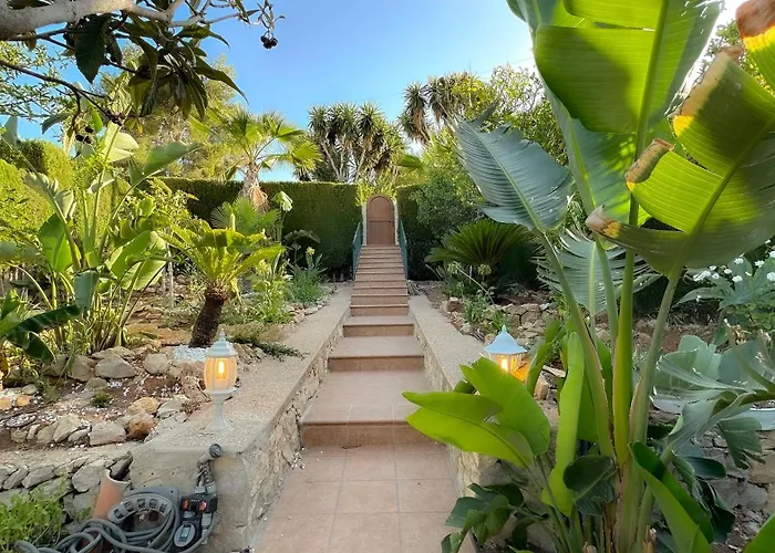Casa Palmerita A 7 Minutos Andando De Una Playa De Aguas Cristalinas