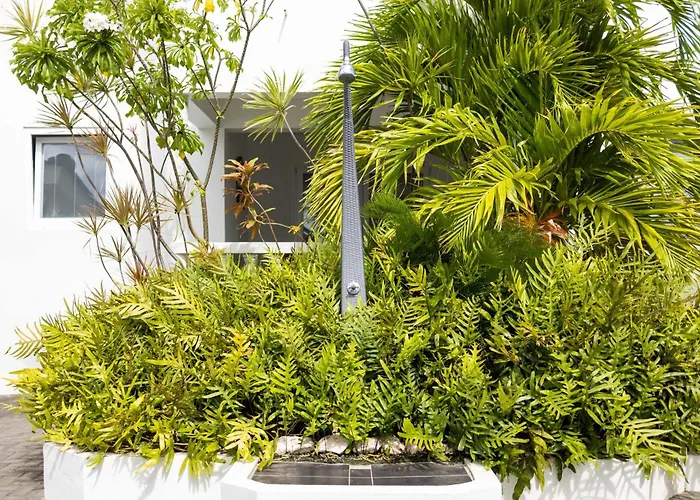 Palm Crest