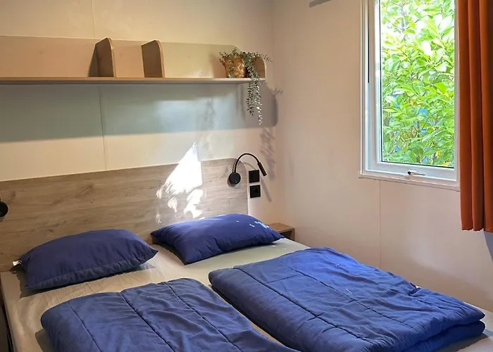 4P Lodge Centrally Located In National Park, Swimming Pool 63