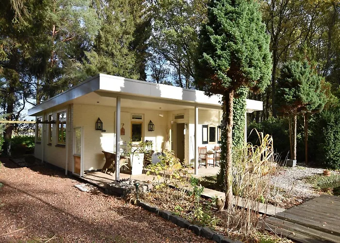 A Detached Bungalow With Outdoor Fireplace, Covered Terrace And Pond In A Forest Plot