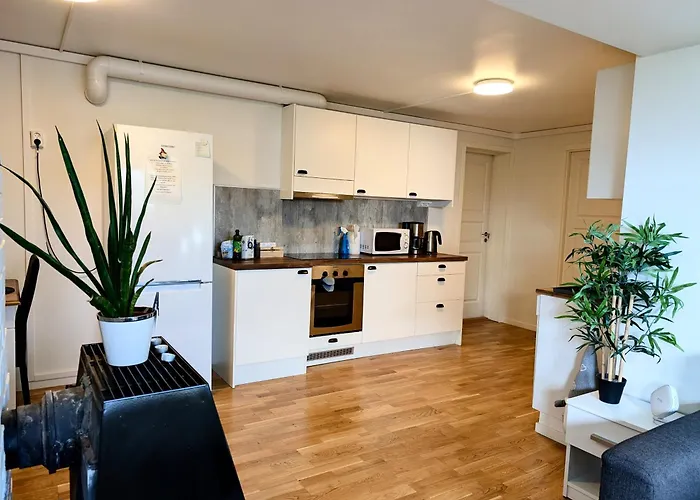 Aurora Rooms In Shared Apartment Nr2 We Are Doing Privet Northen Lights Trips