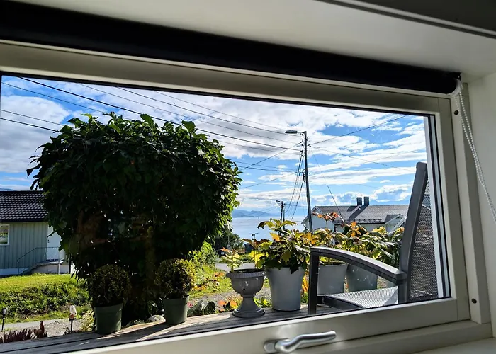 Aurora Rooms In Shared Apartment Nr2 We Are Doing Privet Northen Lights Trips