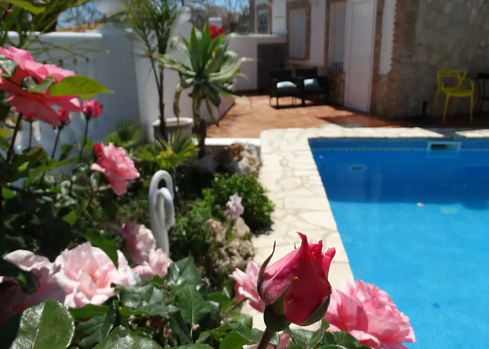 Hostal La Paloma II