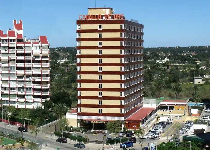 Ping Pong hotel: Hotel Caballo De Oro