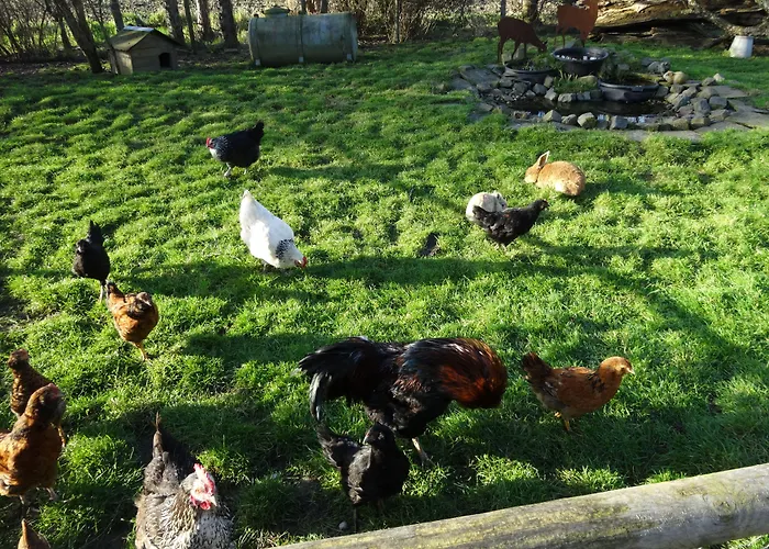 Crea-Trends Vacations