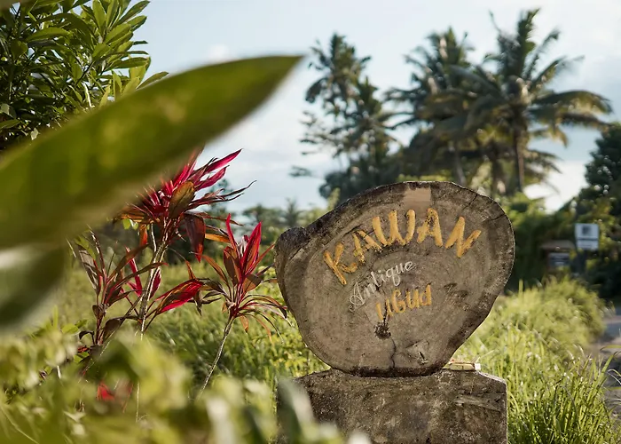  Kawan Antique Ubud