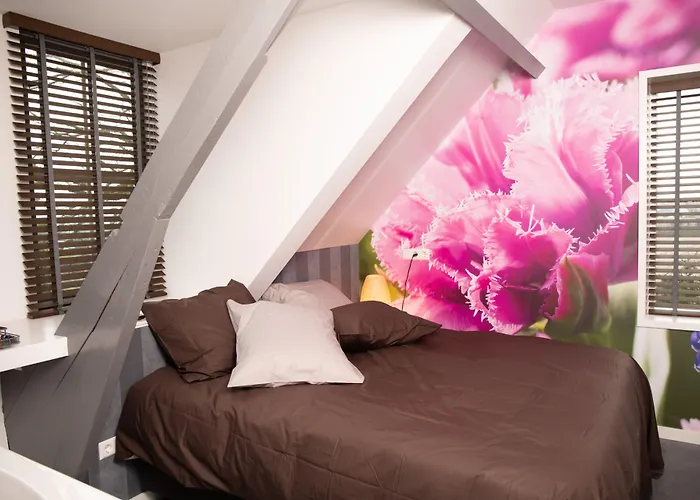 House Of Tulips