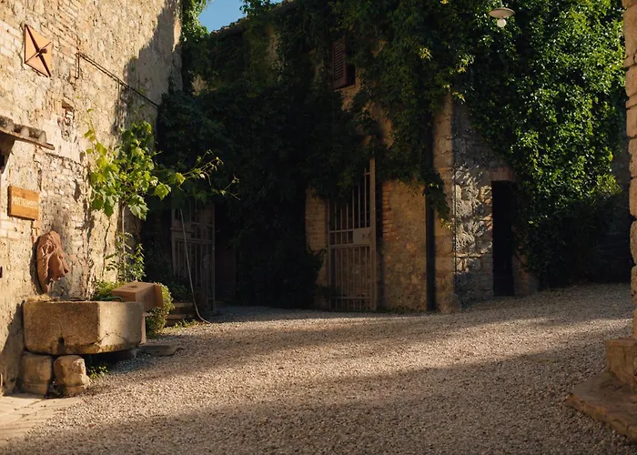 Fattoria San Donato