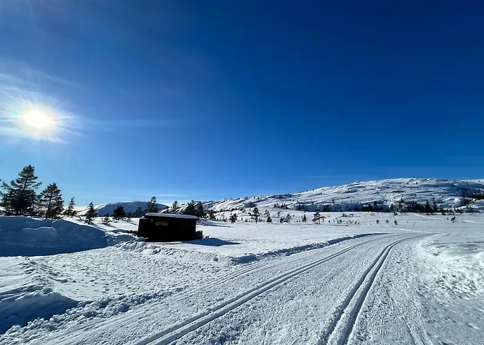 Leilighet Ski in/out, golf