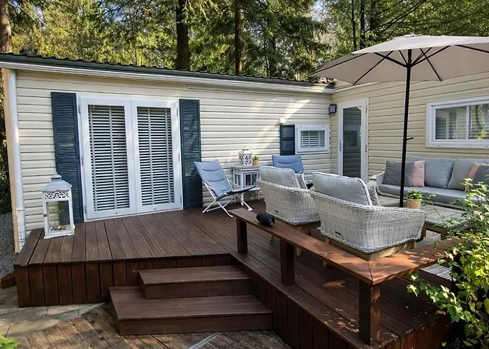 Luxe Chalet met prachtig terras op de Veluwe , veel privacy