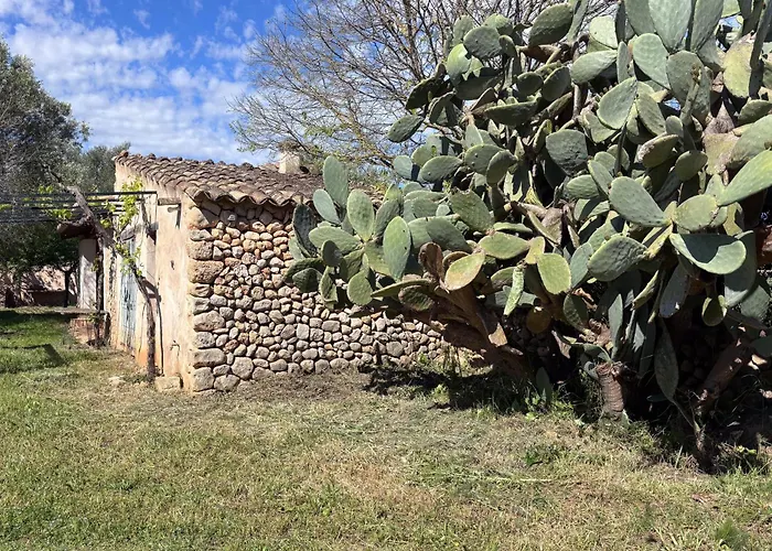 Bonita Casa De Campo Sa Vinya Para Relax Y Piscina Privada