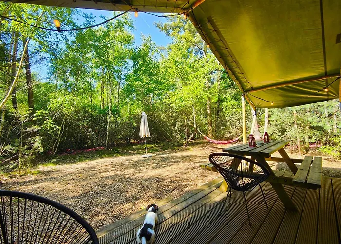 Glamping In Nature By Outdoors