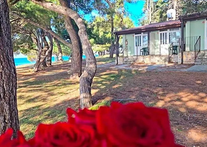 Family Bungalow Pineta