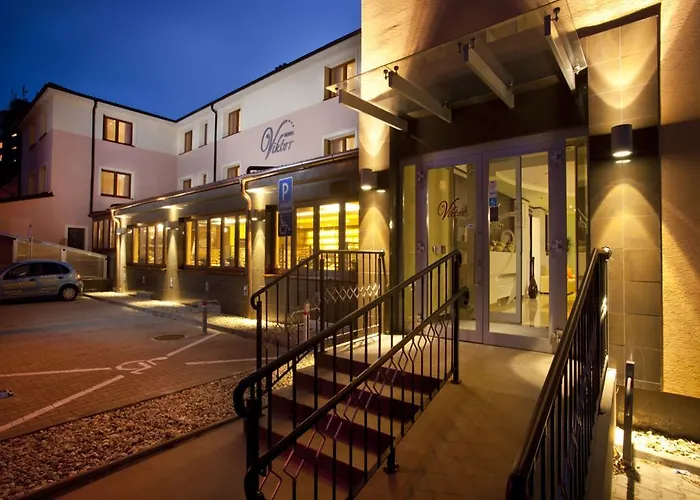 Hotel Viktor