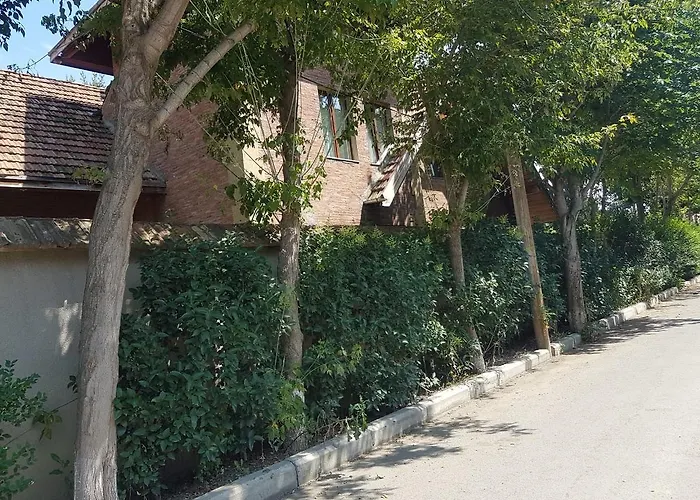 Rare House With Garden