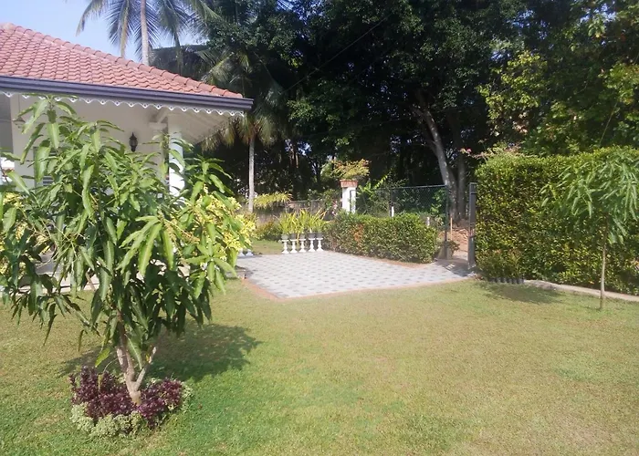 Green Grass Garden