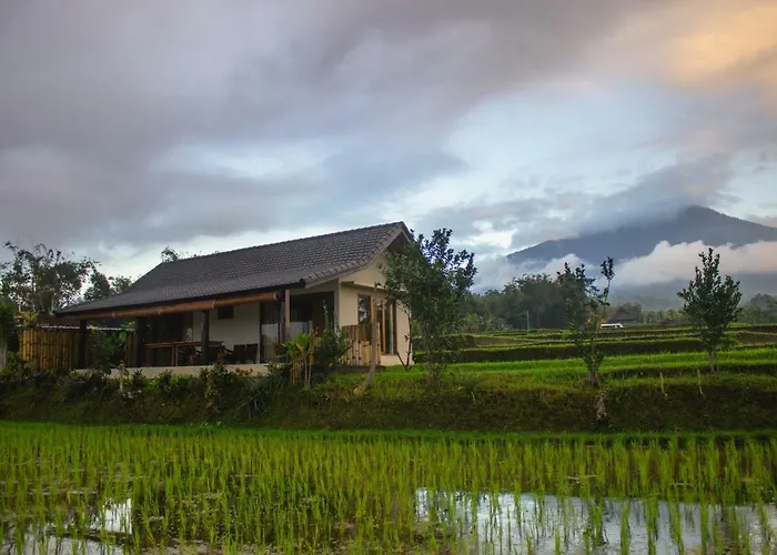 Kubu D'Ume Homestay